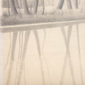 morepic-6