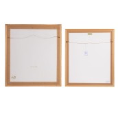 morepic-6