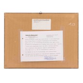 morepic-6