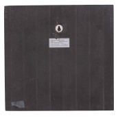morepic-6