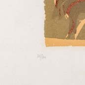 morepic-7