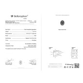 morepic-7