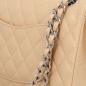 morepic-7