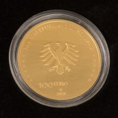 morepic-7