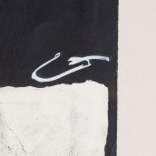 morepic-7