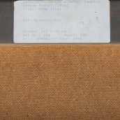 morepic-7