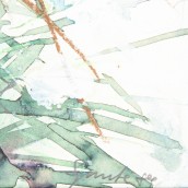 morepic-7