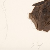 morepic-7