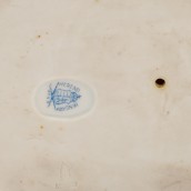 morepic-7