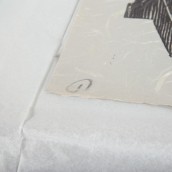 morepic-7