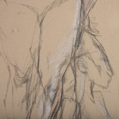 morepic-7