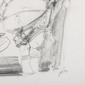 morepic-7