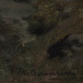 morepic-7
