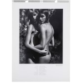 morepic-7