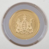 morepic-7