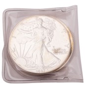 morepic-7