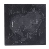 morepic-7