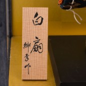 morepic-8