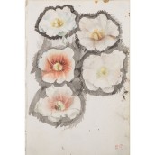 morepic-8