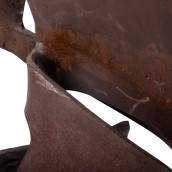 morepic-8