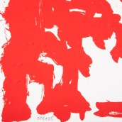 morepic-8