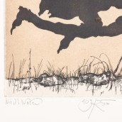 morepic-8