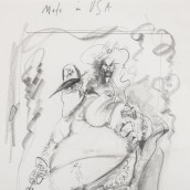morepic-8