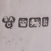 morepic-8