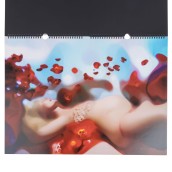 morepic-8