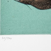 morepic-9