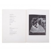 morepic-9