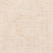 morepic-9