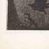 morepic-9