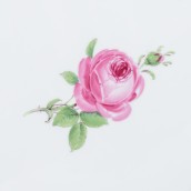 morepic-9
