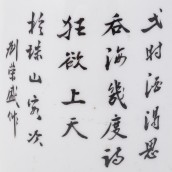 morepic-9